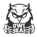 Owlbear Consulting - IT Knowledge